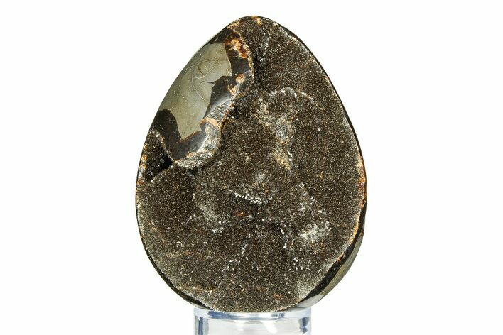 Septarian Dragon Egg Geode - Sparkly Black Crystals #308818